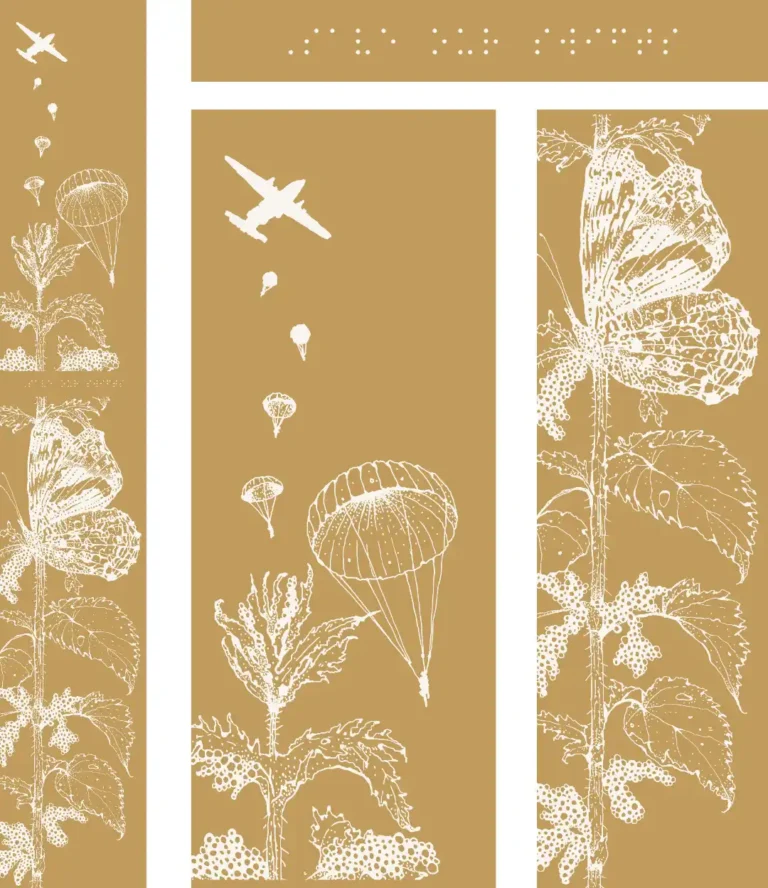 butterfly pillar montage